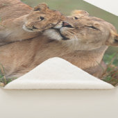 最も可愛い赤ん坊の動物 |ライオンの子と母 シェルパブランケット (3/4)