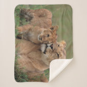 最も可愛い赤ん坊の動物 |ライオンの子と母 シェルパブランケット (正面)