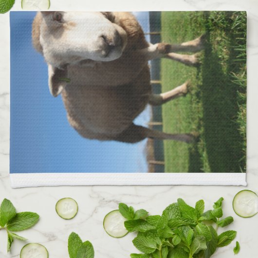 最も可愛い赤ん坊の動物 |ラム生まれたばかりのとママ キッチンタオル (折り畳み)