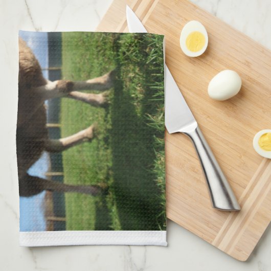 最も可愛い赤ん坊の動物 |ラム生まれたばかりのとママ キッチンタオル (四つ折り)