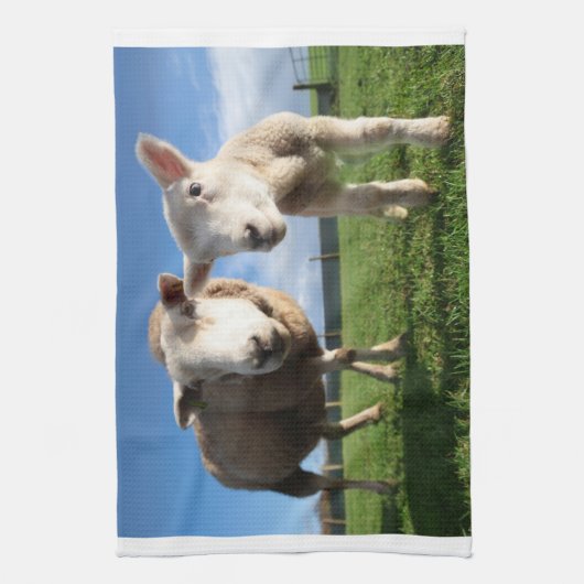 最も可愛い赤ん坊の動物 |ラム生まれたばかりのとママ キッチンタオル (縦)