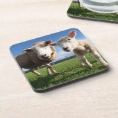 最も可愛い赤ん坊の動物 |ラム生まれたばかりのとママ コースター (左側)