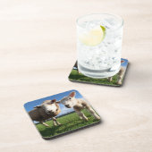 最も可愛い赤ん坊の動物 |ラム生まれたばかりのとママ コースター (右側)