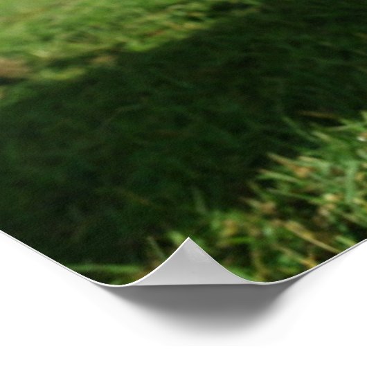 最も可愛い赤ん坊の動物 |ラム生まれたばかりのとママ ポスター (角)