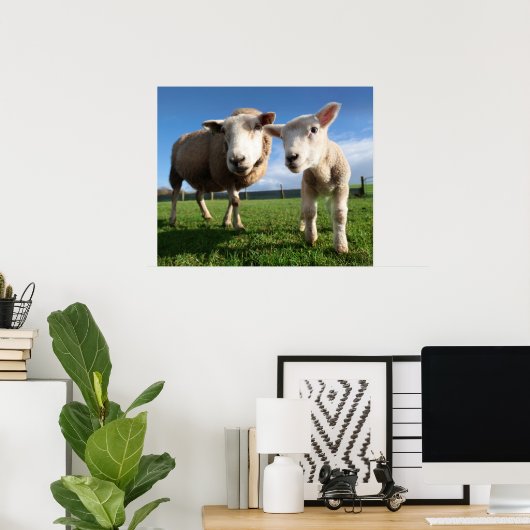 最も可愛い赤ん坊の動物 |ラム生まれたばかりのとママ ポスター (ホームオフィス)