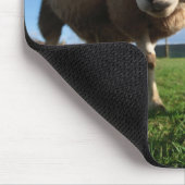 最も可愛い赤ん坊の動物 |ラム生まれたばかりのとママ マウスパッド (コーナー)