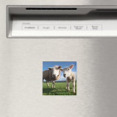 最も可愛い赤ん坊の動物 |ラム生まれたばかりのとママ マグネット (インサイチュ (食洗機))