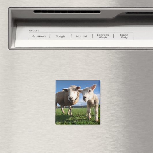 最も可愛い赤ん坊の動物 |ラム生まれたばかりのとママ マグネット (インサイチュ (食洗機))