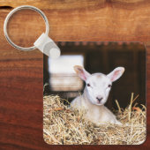 最も可愛い赤ん坊の動物 |ラム生まれたばかりの肉 キーホルダー (正面)