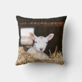 最も可愛い赤ん坊の動物 |ラム生まれたばかりの肉 クッション (裏面)