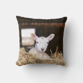 最も可愛い赤ん坊の動物 |ラム生まれたばかりの肉 クッション (正面)
