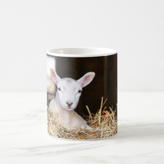 最も可愛い赤ん坊の動物 |ラム生まれたばかりの肉 コーヒーマグカップ (中央)