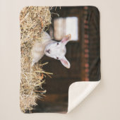 最も可愛い赤ん坊の動物 |ラム生まれたばかりの肉 シェルパブランケット (正面)