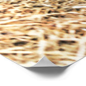 最も可愛い赤ん坊の動物 |ラム生まれたばかりの肉 ポスター (角)