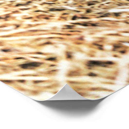 最も可愛い赤ん坊の動物 |ラム生まれたばかりの肉 ポスター (角)