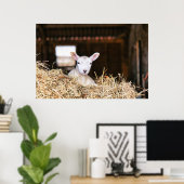 最も可愛い赤ん坊の動物 |ラム生まれたばかりの肉 ポスター (ホームオフィス)