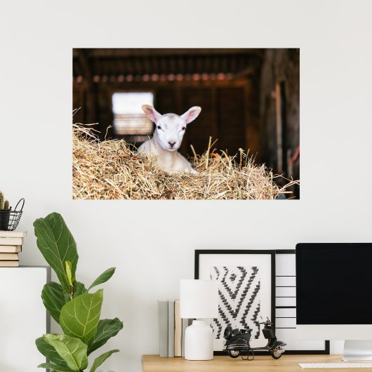 最も可愛い赤ん坊の動物 |ラム生まれたばかりの肉 ポスター (ホームオフィス)