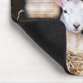 最も可愛い赤ん坊の動物 |ラム生まれたばかりの肉 マウスパッド (コーナー)