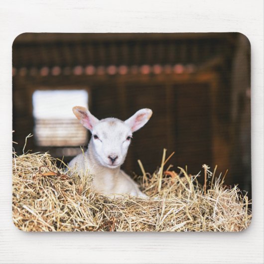 最も可愛い赤ん坊の動物 |ラム生まれたばかりの肉 マウスパッド (正面)