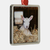 最も可愛い赤ん坊の動物 |ラム生まれたばかりの肉 メタルオーナメント (右)