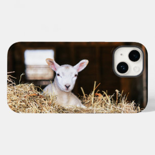 最も可愛い赤ん坊の動物 ラム生まれたばかりの肉 Case-Mate iPhone 14ケース