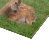 最も可愛い赤ん坊の動物 |リトルファウン カッティングボード (角)