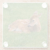 最も可愛い赤ん坊の動物 |リトルファウン ガラスコースター (裏面)