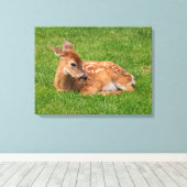 最も可愛い赤ん坊の動物 |リトルファウン キャンバスプリント (インサイチュ (ウッドフロア))