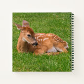 最も可愛い赤ん坊の動物 |リトルファウン ノートブック (裏面)