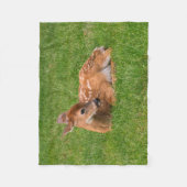 最も可愛い赤ん坊の動物 |リトルファウン フリースブランケット (正面)