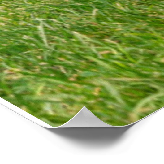 最も可愛い赤ん坊の動物 |リトルファウン ポスター (角)