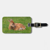 最も可愛い赤ん坊の動物 |リトルファウン ラゲッジタグ (正面横)