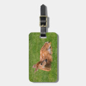 最も可愛い赤ん坊の動物 |リトルファウン ラゲッジタグ (正面縦)