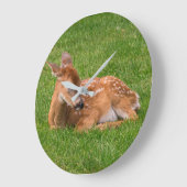 最も可愛い赤ん坊の動物 |リトルファウン ラージ壁時計 (傾斜)