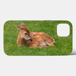 最も可愛い赤ん坊の動物 リトルファウン iPhone 13ケース