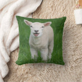 最も可愛い赤ん坊の動物 |リル・ラム クッション (ブランケット)