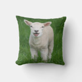 最も可愛い赤ん坊の動物 |リル・ラム クッション (正面)