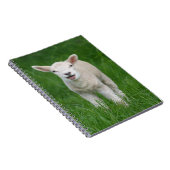 最も可愛い赤ん坊の動物 |リル・ラム ノートブック (右側)