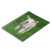 最も可愛い赤ん坊の動物 |リル・ラム ノートブック (左側)