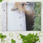 最も可愛い赤ん坊の動物 |レッドキツネキットのピーク キッチンタオル (折り畳み)