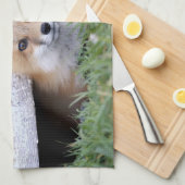 最も可愛い赤ん坊の動物 |レッドキツネキットのピーク キッチンタオル (四つ折り)