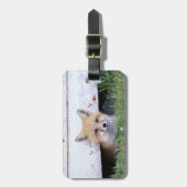 最も可愛い赤ん坊の動物 |レッドキツネキットのピーク ラゲッジタグ (正面縦)