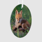 最も可愛い赤ん坊の動物 |レッドキツネキッリラックストの オーナメント (正面)