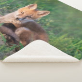 最も可愛い赤ん坊の動物 |レッドキツネキッリラックストの シェルパブランケット (3/4)
