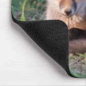 最も可愛い赤ん坊の動物 |レッドキツネキッリラックストの マウスパッド (コーナー)