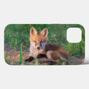 最も可愛い赤ん坊の動物 レッドキツネキッリラックストの iPhone 13ケース