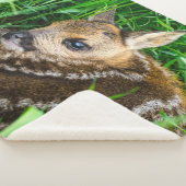 最も可愛い赤ん坊の動物 |ローディアベビー シェルパブランケット (3/4)