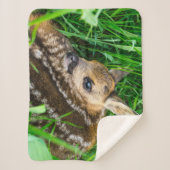 最も可愛い赤ん坊の動物 |ローディアベビー シェルパブランケット (正面)