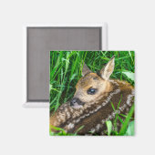 最も可愛い赤ん坊の動物 |ローディアベビー マグネット (正面/裏面)
