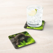 最も可愛い赤ん坊の動物 |乳児マウンテンゴリラ コースター (右側)